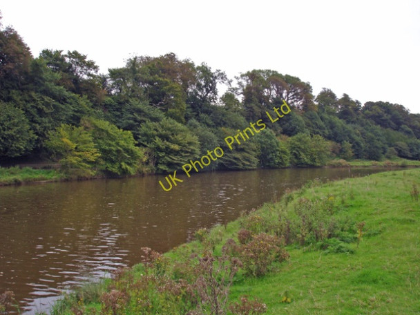 Photo 6"x4" Kingsley - River Weaver near Catton Hall Aston\/SJ5578 c2006