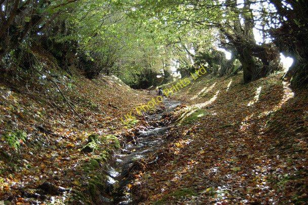 Photo 6"x4" Part of The Samaritans Way (South West) Churchtown\/SS9738 c2006