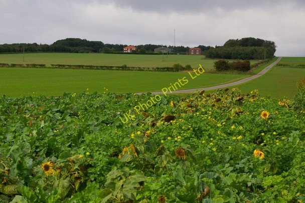 Photo 6"x4" Thirkleby Wold West Lutton c2006