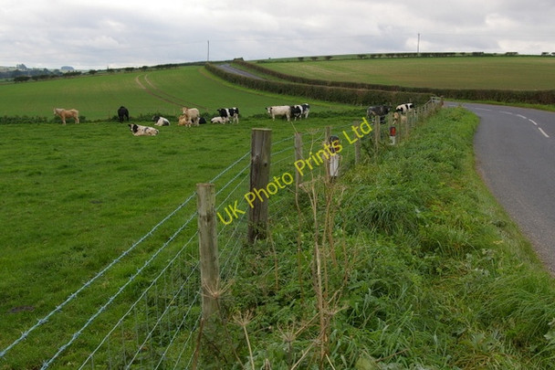 Photo 6"x4" Stock in Field near Kirby Grindalythe Kirby Grindalythe c2006