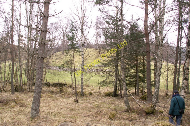 Photo 6"x4" Balindory, Glen Muick Ballater c2006