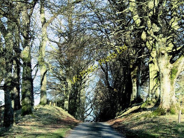 Photo 6"x4" The approach to Kilbryde Castle Doune\/NN7301 c2004