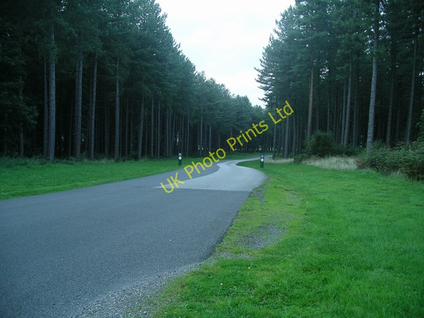 Photo 6"x4" Access road, Sherwood Pines forest park Lidgett c2006