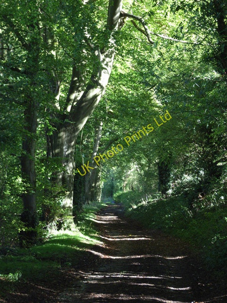Photo 6"x4" Byway below Wickfield Weston\/SU3973 c2006