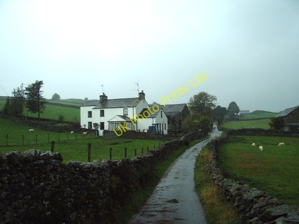Photo 6"x4" Littlewood Farm Cowen Head c2006