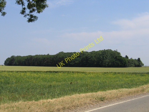 Photo 6"x4" Woodland in Dowsby Fen, Lincs Dowsby c2006