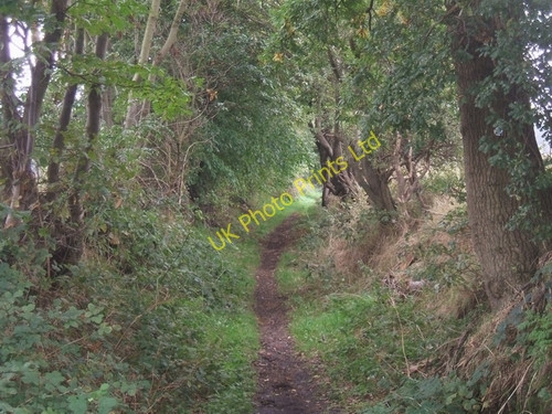 Photo 6"x4" Middle Lane Bridleway Coven Heath c2006