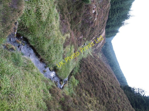 Photo 6"x4" Williamslee burn Williamslee c2006