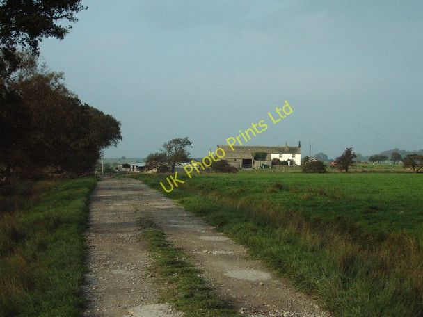 Photo 6"x4" The Road to Hyles Moor Farm Grunsagill c2006