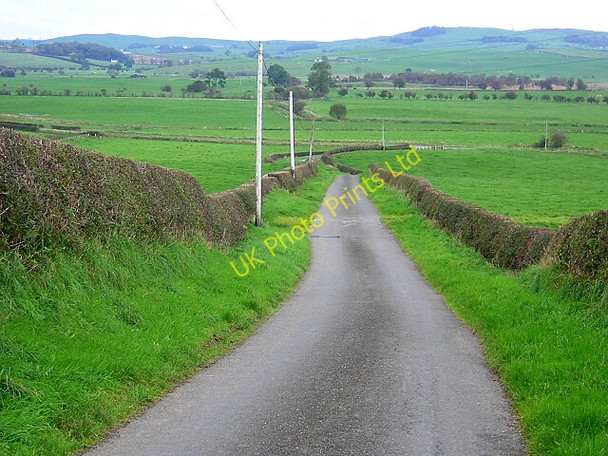 Photo 6"x4" Minor Road Near Halmyre Hardgate\/NX8166 c2006
