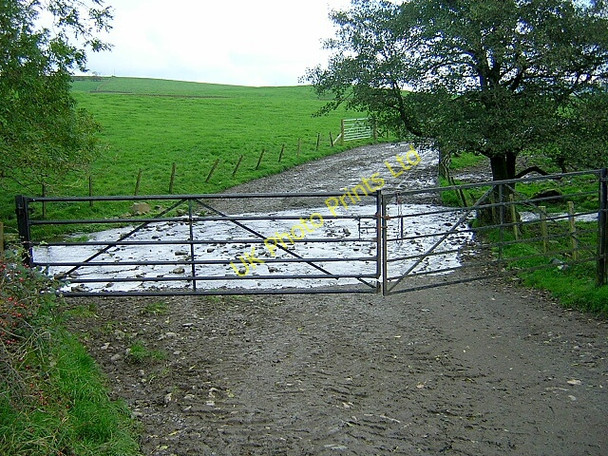 Photo 6"x4" Ford Near Crofthead Hardgate\/NX8166 c2006