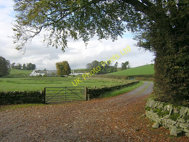 Photo 6"x4" Road to Meikle Kirkland Milton\/NX8470 c2006