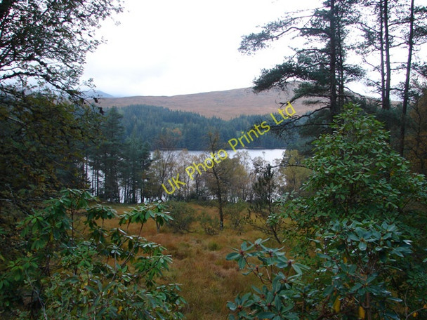 Photo 6"x4" Mixed vegetation beside Loch Ossian Loch Ossian\/NN4068 c2006