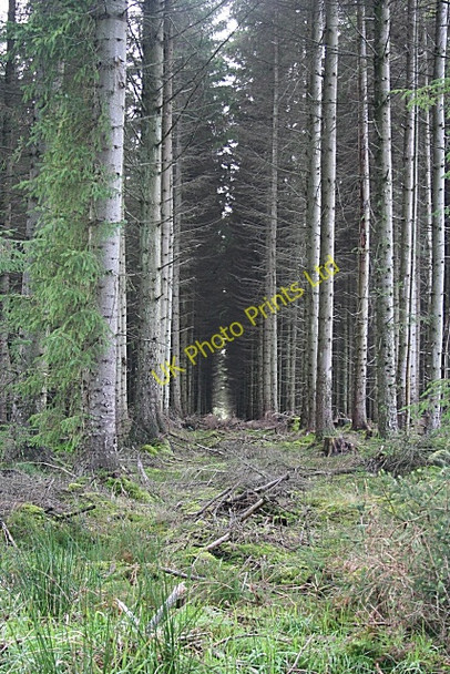 Photo 6"x4" Light at the End Auchinderran\/NJ4055 c2006