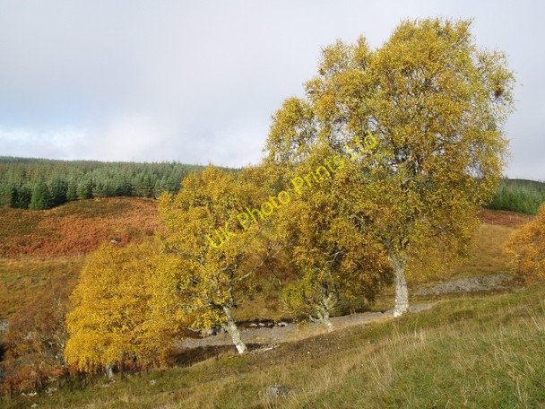 Photo 6"x4" Autumn colours, River Ericht Allt Coire a' Mh\u00f2r-fhir\/NN5261 c2006