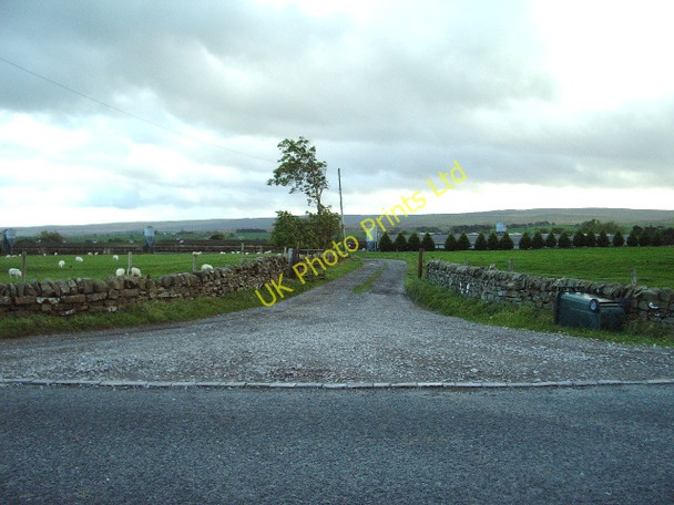 Photo 6"x4" The Road to Myre Keld Farm Bowes\/NY9913 c2006