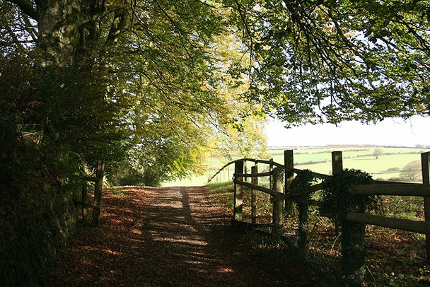 Photo 6"x4" Exford: a public footpath by the churchyard Exford c2006