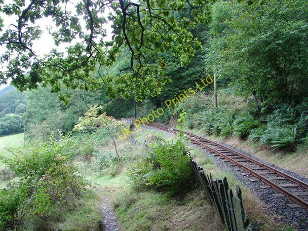 Photo 6"x4" Path beside the Talyllyn Railway Abergynolwyn c2006