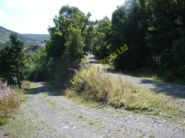 Photo 6"x4" Track junction near Bryn-Eglwys Quarry Abergynolwyn c2006