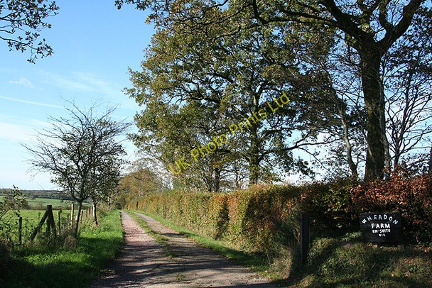 Photo 6"x4" Witheridge: near Wheadon Cross Ash Moor c2006