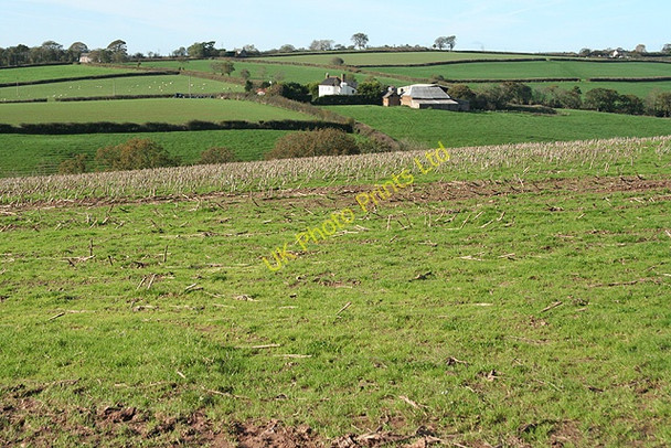 Photo 6"x4" Witheridge: towards Wilson Drayford c2006