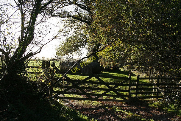 Photo 6"x4" East Worlington: by Affeton Moor West Worlington c2006