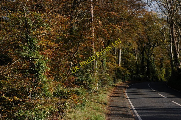 Photo 6"x4" The Ballyrobert Road near Bangor Crawfordsburn c2006