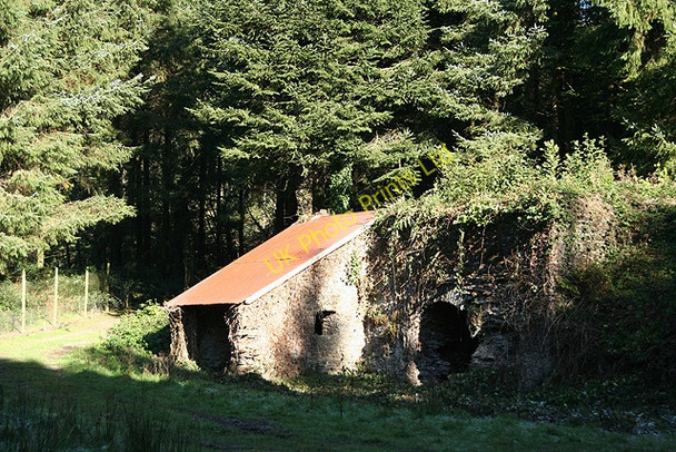 Photo 6"x4" Molland: limekiln, Zeal Wood Champson c2006