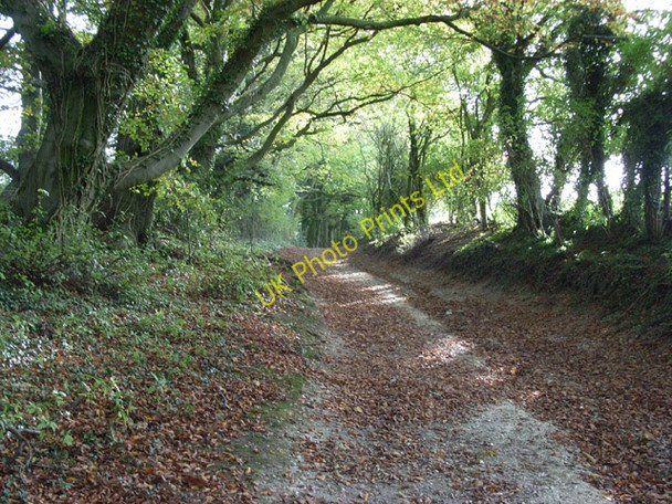 Photo 6"x4" Bridleway, Hippenscombe Chute Cadley c2006