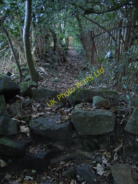 Photo 6"x4" Stone stile and path Caergwrle c2006
