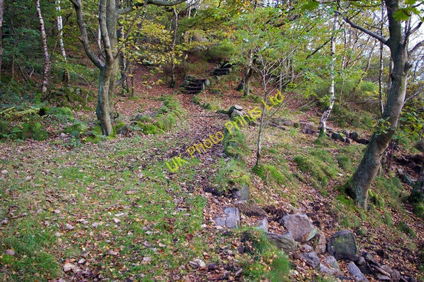 Photo 6"x4" Junction of paths and tracks, Eaves Wood Hebden Bridge c2006