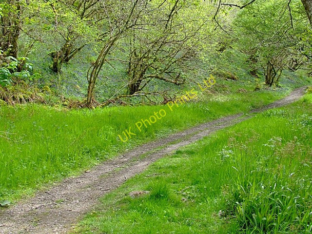 Photo 6"x4" The Big Burn walk close to Golspie Backies\/NC8302 c2007 P1