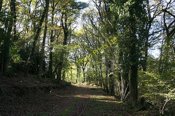 Photo 6"x4" Bratton Fleming: course of the Lynton & Barnstaple Railway Bratton Fleming c2006
