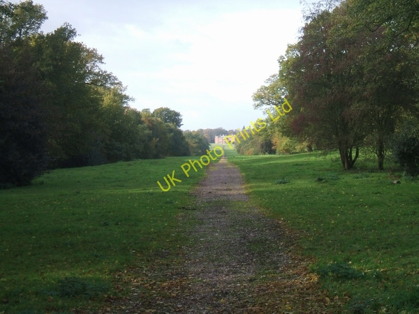 Photo 6"x4" Upper Avenue, Chillington Hall Brewood c2006