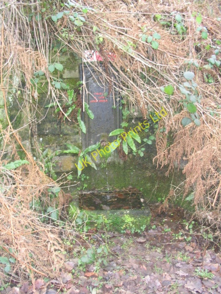 Photo 6"x4" Roadside spring Kerne Bridge c2006