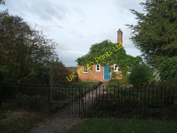 Photo 6"x4" Overgrown lodge Brewood c2006