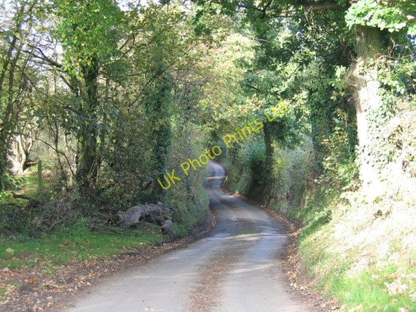 Photo 6"x4" Sunken Lane Lower Mountain c2006