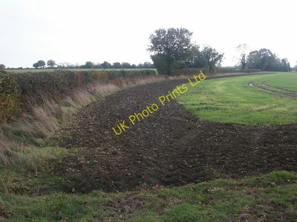 Photo 6"x4" Field, Slutshole Lane, Spooner Row Black Carr\/TM0995 c2006