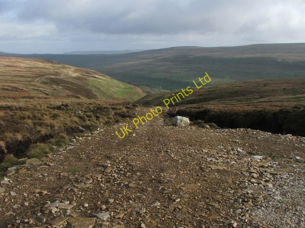 Photo 6"x4" New Grouse Track Cray\/SD9479 c2006