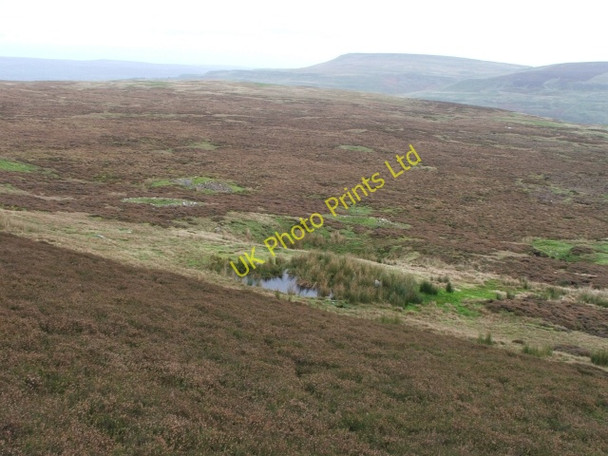 Photo 6"x4" Lady Wassett Well. Newbiggin\/SD9985 c2006