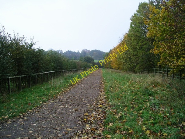 Photo 6"x4" Track, Shipley Country Park Heanor c2006