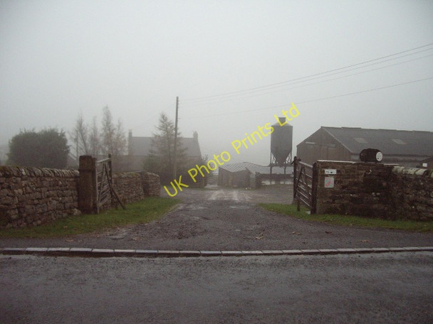Photo 6"x4" Wemmergill Farm Kelton\/NY9220 c2006