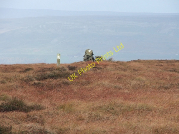 Photo 6"x4" Drystone Wall Remnants. Walden c2006