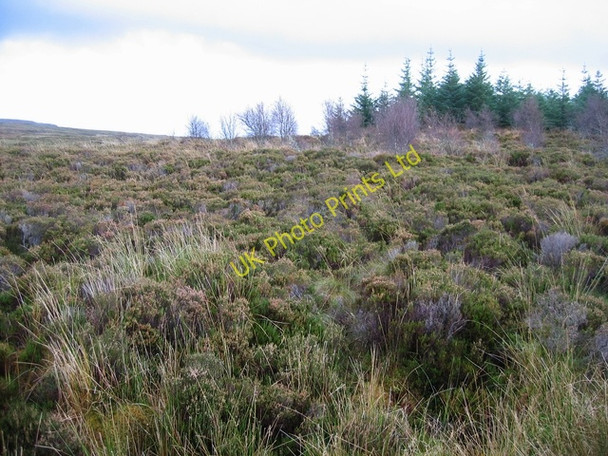 Photo 6"x4" Moorland south of Edinbane Blackhill\/NG3450 c2006