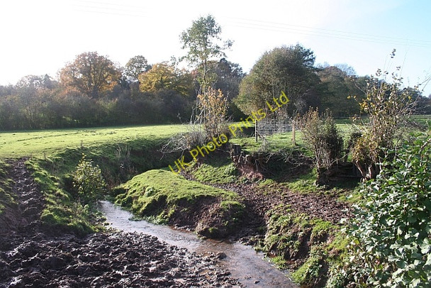 Photo 6"x4" Holly Brook and Risbury Camp Risbury\/SO5555 c2006