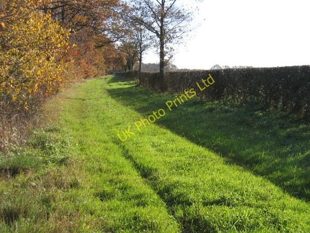 Photo 6"x4" Carriage Road through Bretton Woods Bretton\/SJ3563 c2006
