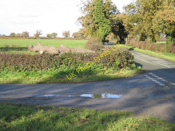 Photo 6"x4" The lane from Gorstella to Bretton Gorstella c2006