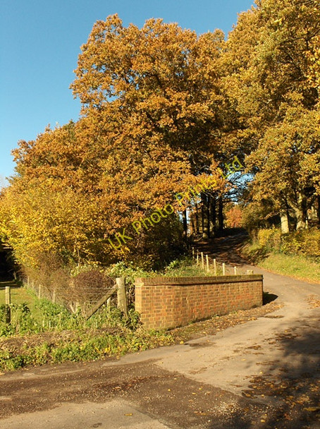 Photo 6"x4" Lane, Lower Old Park Dippenhall c2006
