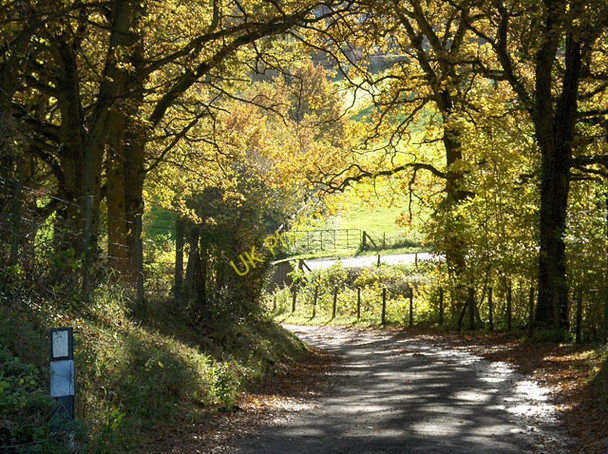 Photo 6"x4" Lane, Lower Old Park Dippenhall c2006 P1