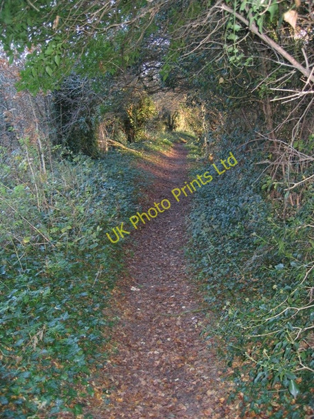 Photo 6"x4" Public Footpath Chester c2006